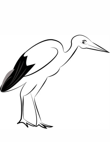 White Stork Coloring Page